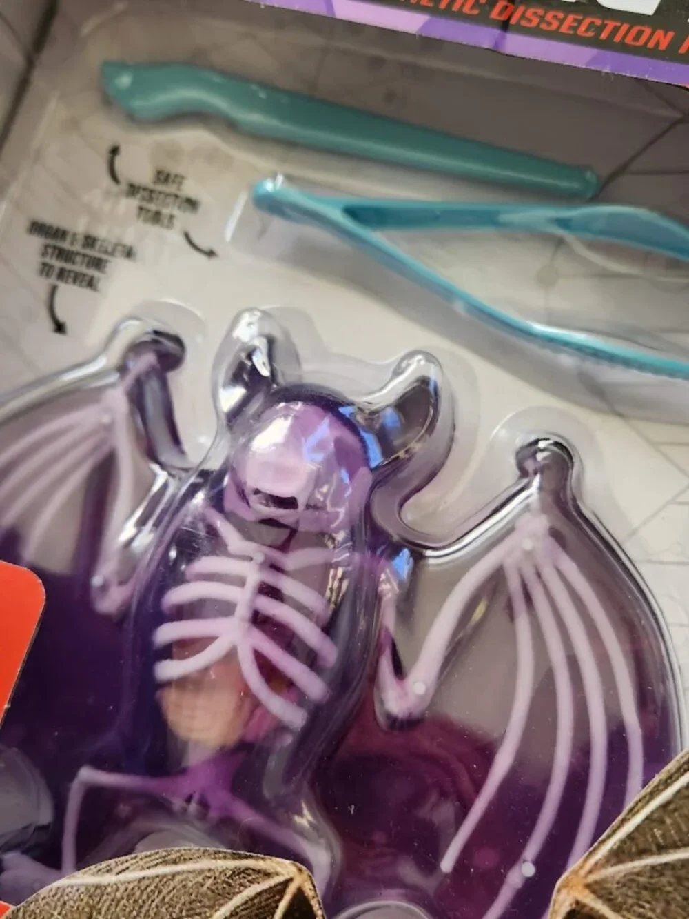 NEW Dissect-it Synthetic Lab Dissection Toy STEM KIT CRAFT Project Bat Biology A